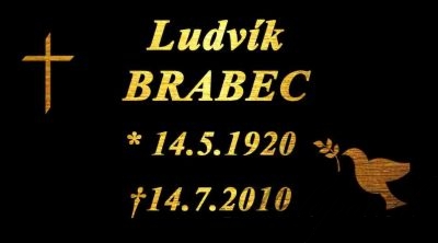 Urna hliníková hnědá s petúnií