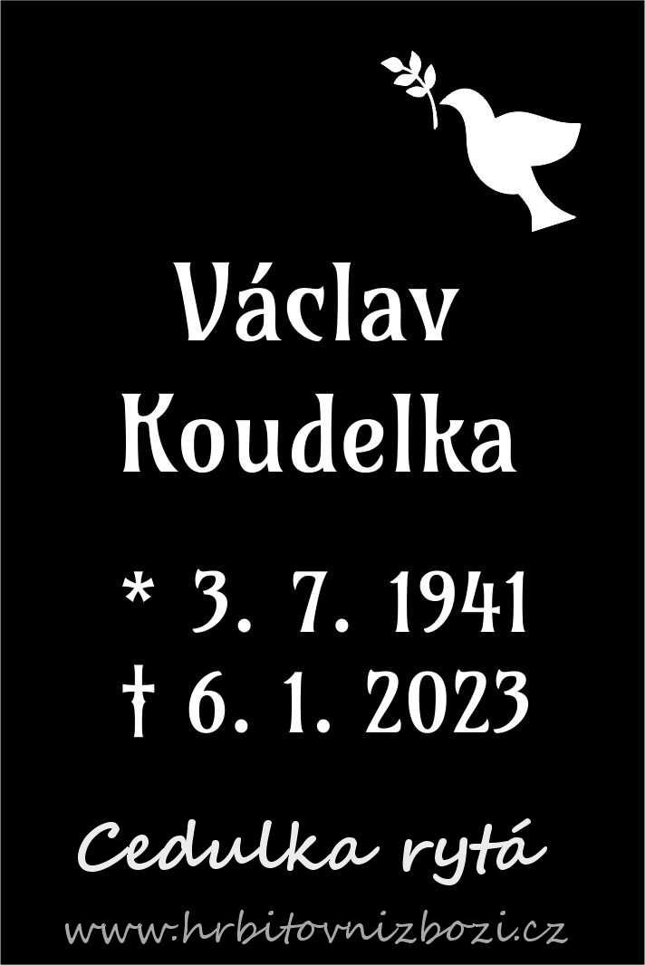 Hřbitovní urna plastová stříbrná